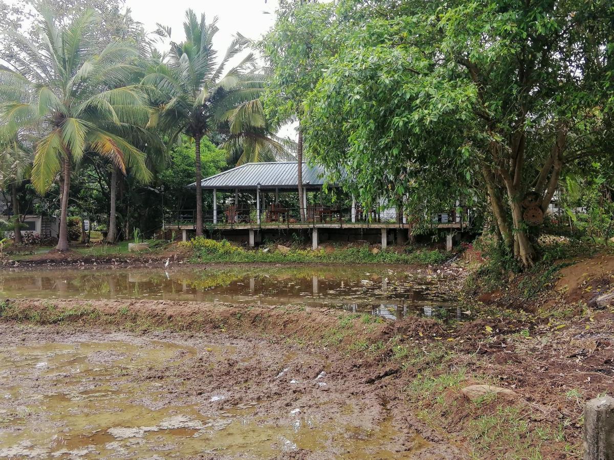 Rajarata Lodge Anuradhapura Esterno foto